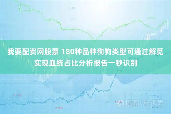 我要配资网股票 180种品种狗狗类型可通过解觅实现血统占比分析报告一秒识别