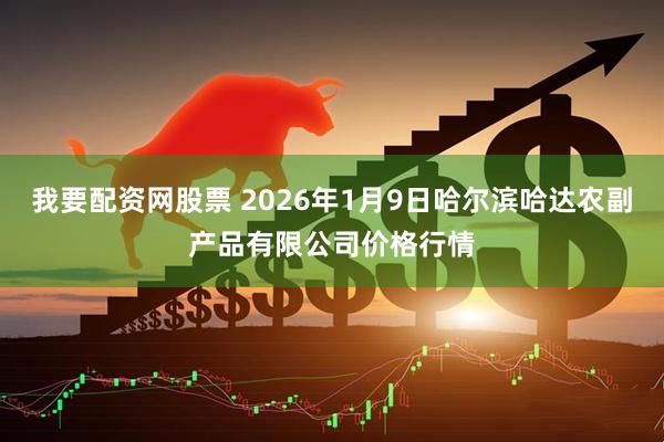 我要配资网股票 2026年1月9日哈尔滨哈达农副产品有限公司价格行情